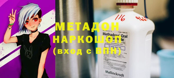 прущие грибы Михайлов