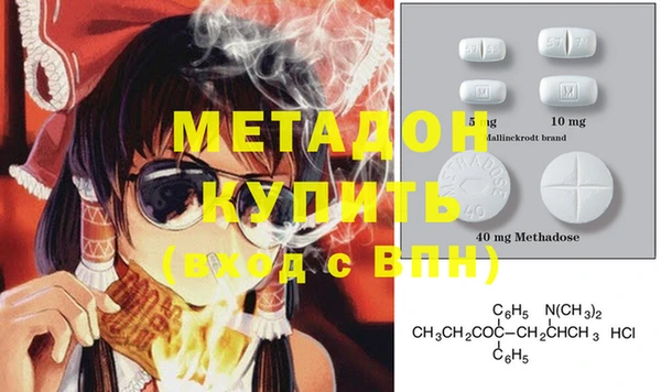 прущие грибы Михайлов