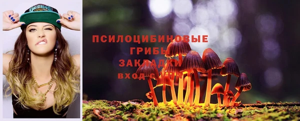 прущие крисы Надым