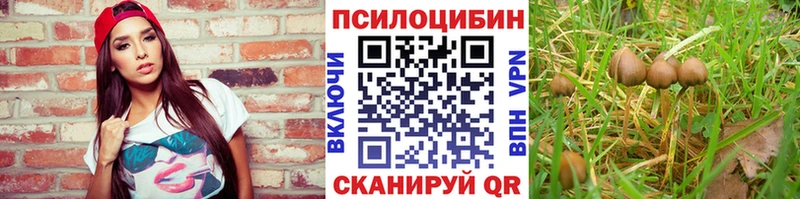 Псилоцибиновые грибы мухоморы Надым
