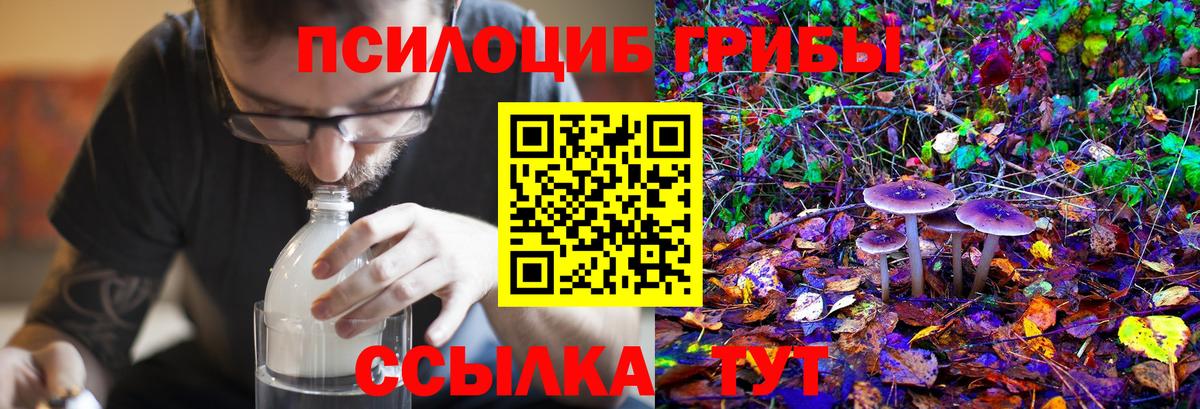 Псилоцибиновые грибы Magic Shrooms Надым
