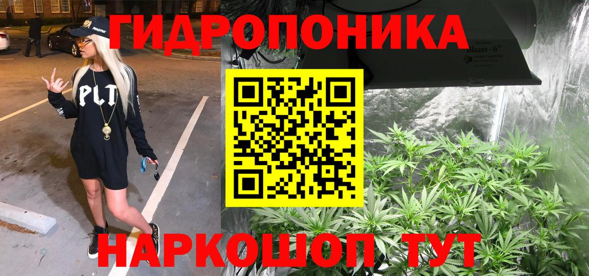 Конопля конопля Надым
